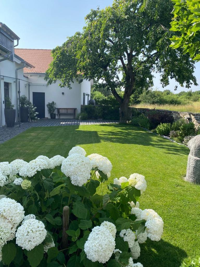 Colle Divino Würzburg Exterior foto