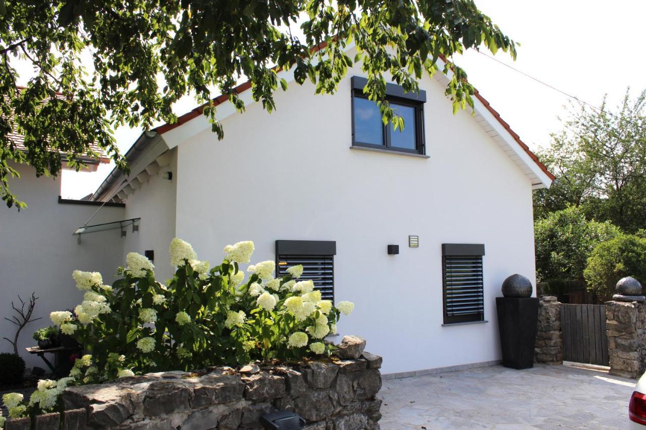 Colle Divino Würzburg Exterior foto
